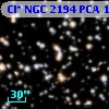 Cl* NGC 2194    PCA    1232