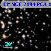 Cl* NGC 2194    PCA    1236