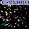 Cl* NGC 2194    PCA    1245