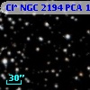 Cl* NGC 2194    PCA    1265