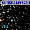 Cl* NGC 2194    PCA    1266