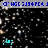 Cl* NGC 2194    PCA    1276