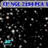 Cl* NGC 2194    PCA    1282