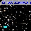 Cl* NGC 2194    PCA    1292