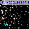 Cl* NGC 2194    PCA    1293