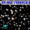 Cl* NGC 2194    PCA    1295