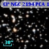 Cl* NGC 2194    PCA    1310