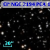 Cl* NGC 2194    PCA    1312