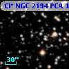 Cl* NGC 2194    PCA    1315