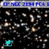 Cl* NGC 2194    PCA    1318