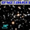 Cl* NGC 2194    PCA    1321
