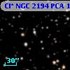Cl* NGC 2194    PCA    1334