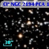Cl* NGC 2194    PCA    1335
