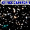 Cl* NGC 2194    PCA    1345