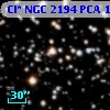 Cl* NGC 2194    PCA    1346