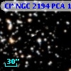Cl* NGC 2194    PCA    1347