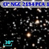 Cl* NGC 2194    PCA    1363