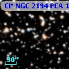 Cl* NGC 2194    PCA    1377