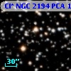 Cl* NGC 2194    PCA    1391