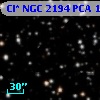 Cl* NGC 2194    PCA    1396
