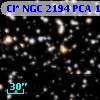 Cl* NGC 2194    PCA    1406