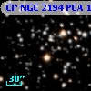 Cl* NGC 2194    PCA    1423