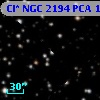 Cl* NGC 2194    PCA    1429