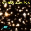 Cl* NGC 2194    PCA    1431