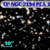 Cl* NGC 2194    PCA    1444