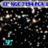 Cl* NGC 2194    PCA    1446