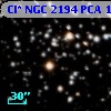 Cl* NGC 2194    PCA    1447