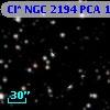 Cl* NGC 2194    PCA    1448