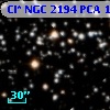 Cl* NGC 2194    PCA    1459