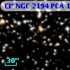 Cl* NGC 2194    PCA    1464