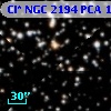 Cl* NGC 2194    PCA    1471