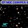 Cl* NGC 2194    PCA    1473
