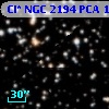 Cl* NGC 2194    PCA    1488