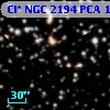 Cl* NGC 2194    PCA    1497