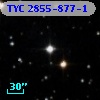 TYC 2855-877-1