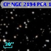 Cl* NGC 2194    PCA    1504