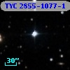 TYC 2855-1077-1