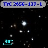 TYC 2856-137-1