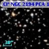 Cl* NGC 2194    PCA    1553