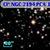 Cl* NGC 2194    PCA    1555
