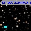 Cl* NGC 2194    PCA    1557