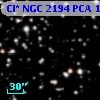 Cl* NGC 2194    PCA    1559