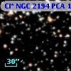 Cl* NGC 2194    PCA    1561