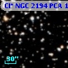 Cl* NGC 2194    PCA    1568