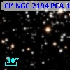 Cl* NGC 2194    PCA    1571
