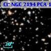 Cl* NGC 2194    PCA    1585